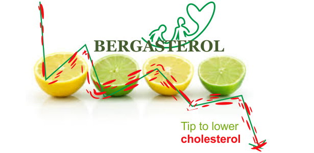 bergamot juice stop HDL cholesterol